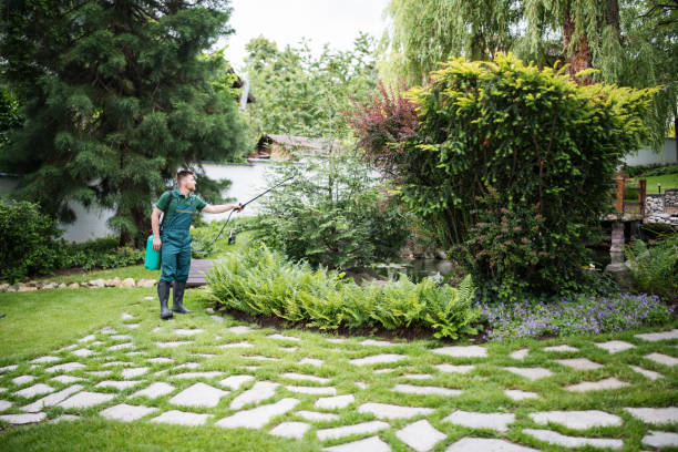 Best Affordable Pest Control Services  in Aspen Hill, MD