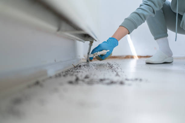 Pest Prevention Services in Aspen Hill, MD